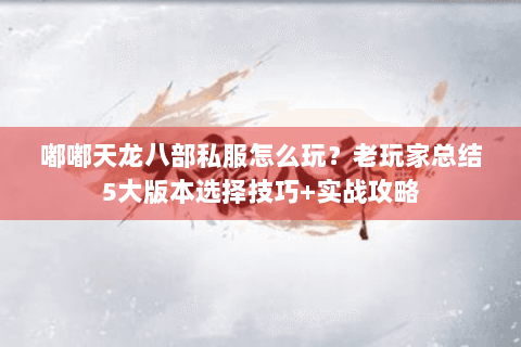 嘟嘟天龙八部私服怎么玩？老玩家总结5大版本选择技巧+实战攻略