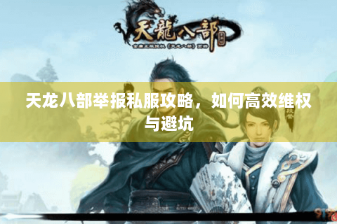 天龙八部举报私服攻略，如何高效维权与避坑