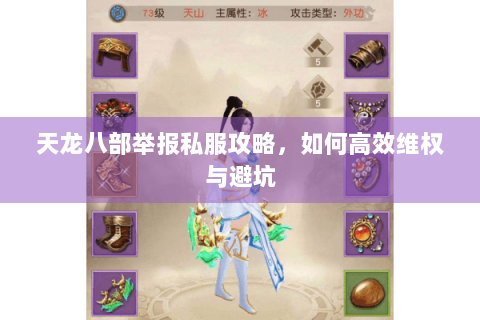 天龙八部举报私服攻略，如何高效维权与避坑