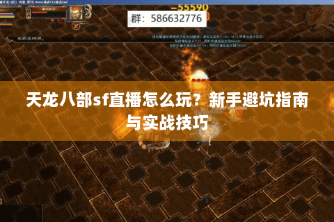天龙八部sf直播怎么玩？新手避坑指南与实战技巧