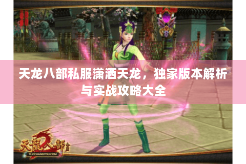 天龙八部私服潇洒天龙，独家版本解析与实战攻略大全