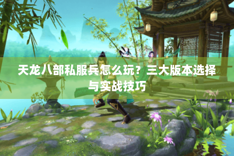 天龙八部私服兵怎么玩？三大版本选择与实战技巧