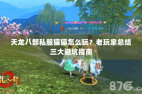 天龙八部私服猫猫怎么玩？老玩家总结三大避坑指南