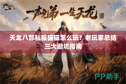 天龙八部私服猫猫怎么玩？老玩家总结三大避坑指南