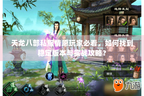 天龙八部私服情愿玩家必看，如何找到稳定版本与实战攻略？