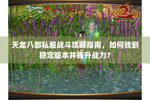 天龙八部私服战斗攻略指南，如何找到稳定版本并提升战力？