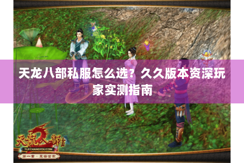 天龙八部私服怎么选？久久版本资深玩家实测指南