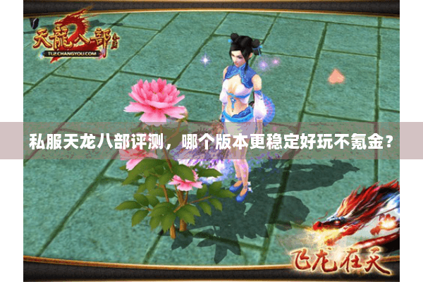 私服天龙八部评测，哪个版本更稳定好玩不氪金？