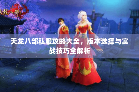天龙八部私服攻略大全，版本选择与实战技巧全解析