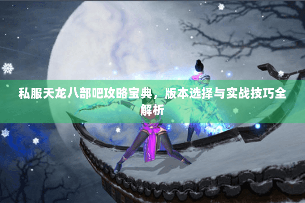 私服天龙八部吧攻略宝典，版本选择与实战技巧全解析