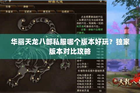 华丽天龙八部私服哪个版本好玩？独家版本对比攻略