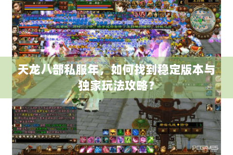 天龙八部私服年，如何找到稳定版本与独家玩法攻略？