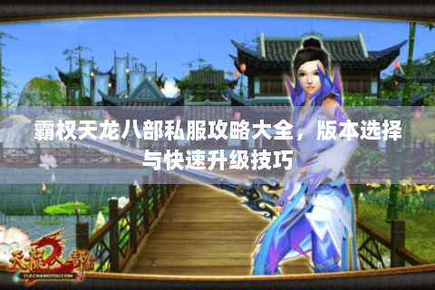 霸权天龙八部私服攻略大全，版本选择与快速升级技巧