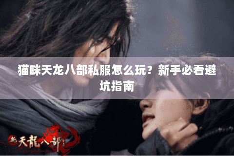 猫咪天龙八部私服怎么玩？新手必看避坑指南