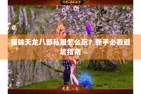 猫咪天龙八部私服怎么玩？新手必看避坑指南