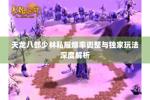 天龙八部少林私服爆率调整与独家玩法深度解析