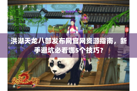 洪湖天龙八部发布网官网资源指南，新手避坑必看哪5个技巧？