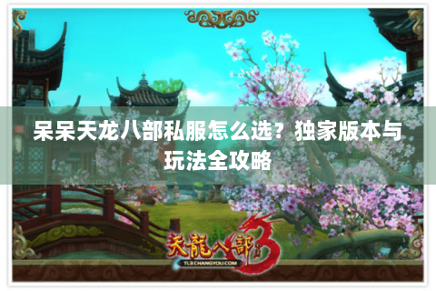 呆呆天龙八部私服怎么选？独家版本与玩法全攻略