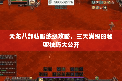 天龙八部私服练级攻略，三天满级的秘密技巧大公开