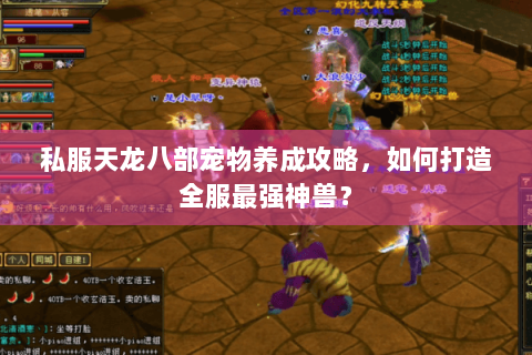 私服天龙八部宠物养成攻略，如何打造全服最强神兽？