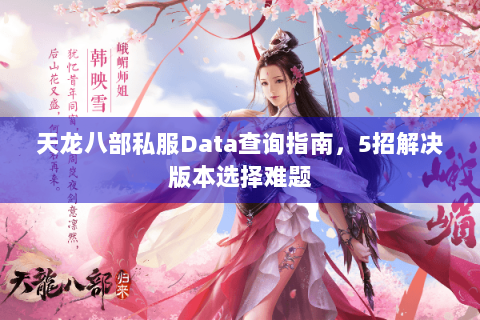天龙八部私服Data查询指南，5招解决版本选择难题