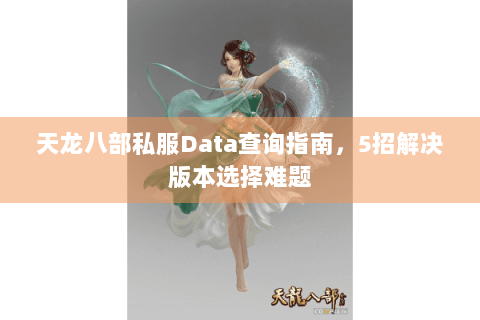 天龙八部私服Data查询指南，5招解决版本选择难题