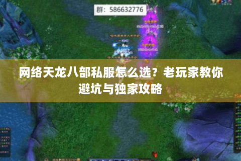 网络天龙八部私服怎么选？老玩家教你避坑与独家攻略