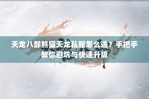 天龙八部熊猫天龙私服怎么选？手把手教你避坑与快速升级