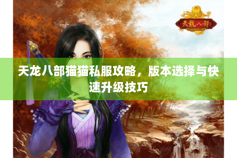 天龙八部猫猫私服攻略，版本选择与快速升级技巧