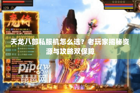 天龙八部私服机怎么选？老玩家揭秘资源与攻略双保障