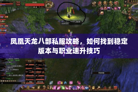 凤凰天龙八部私服攻略，如何找到稳定版本与职业速升技巧