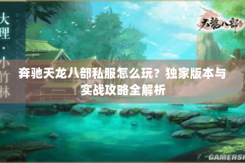 奔驰天龙八部私服怎么玩？独家版本与实战攻略全解析