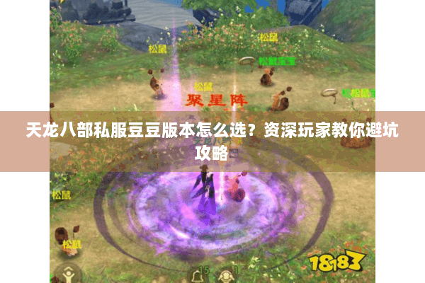 天龙八部私服豆豆版本怎么选？资深玩家教你避坑攻略