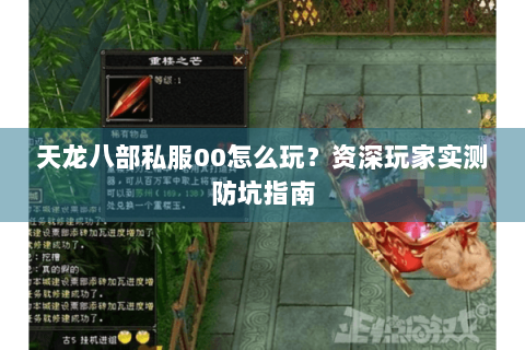 天龙八部私服00怎么玩？资深玩家实测防坑指南