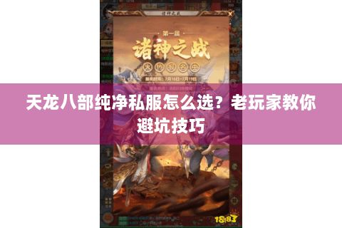 天龙八部纯净私服怎么选？老玩家教你避坑技巧