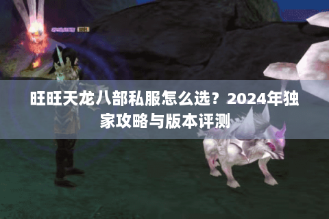 旺旺天龙八部私服怎么选？2024年独家攻略与版本评测
