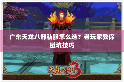 广东天龙八部私服怎么选？老玩家教你避坑技巧