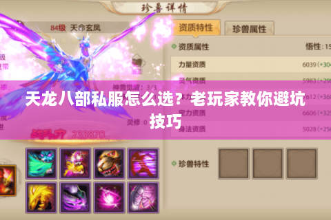 天龙八部私服怎么选？老玩家教你避坑技巧