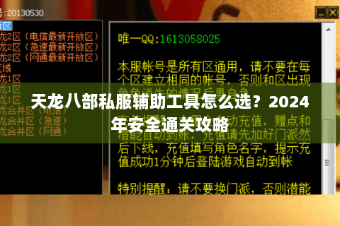 天龙八部私服辅助工具怎么选？2024年安全通关攻略
