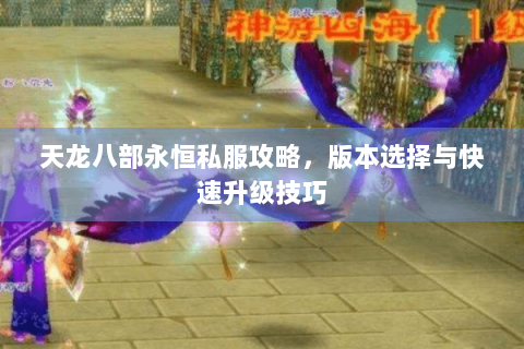 天龙八部永恒私服攻略，版本选择与快速升级技巧