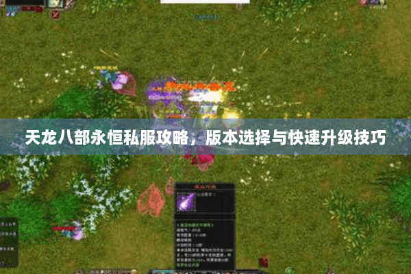天龙八部永恒私服攻略，版本选择与快速升级技巧