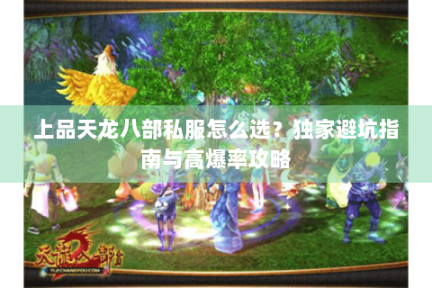 上品天龙八部私服怎么选？独家避坑指南与高爆率攻略