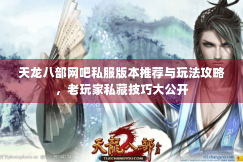 天龙八部网吧私服版本推荐与玩法攻略，老玩家私藏技巧大公开