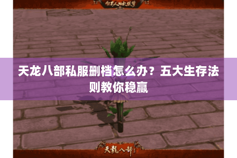 天龙八部私服删档怎么办？五大生存法则教你稳赢