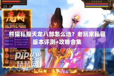 熊猫私服天龙八部怎么选？老玩家私藏版本评测+攻略合集