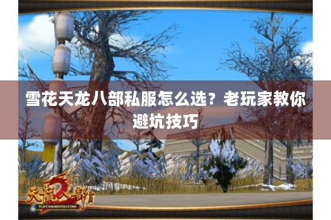 雪花天龙八部私服怎么选？老玩家教你避坑技巧