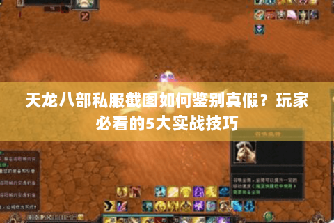 天龙八部私服截图如何鉴别真假？玩家必看的5大实战技巧