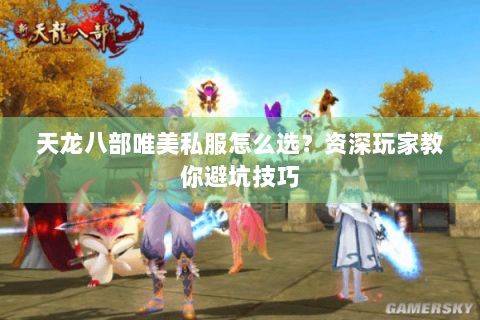 天龙八部唯美私服怎么选？资深玩家教你避坑技巧