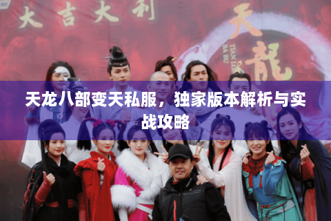 天龙八部变天私服，独家版本解析与实战攻略