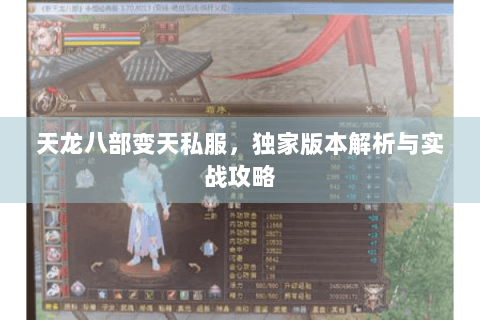 天龙八部变天私服，独家版本解析与实战攻略